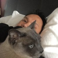 Alex (self-parody) (@alex_l_92806) 's Twitter Profile Photo Alex (self-parody) (@alex_l_92806) 's Twitter Profile Photo