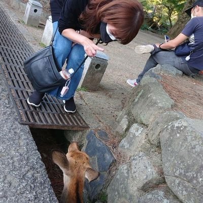 神戸市出身⚓既婚💑
20年間、静岡県在住からの神戸へ出戻り💃♀

音楽が大好きな真っ直ぐな人間です。
〜ウォーキング🚶🏼‍♀&ランニング🏃🏼‍♀🔰&ランチ🤤+α✍🦸‍♀