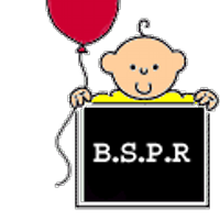 BSPR (@bspr_uk) 's Twitter Profile