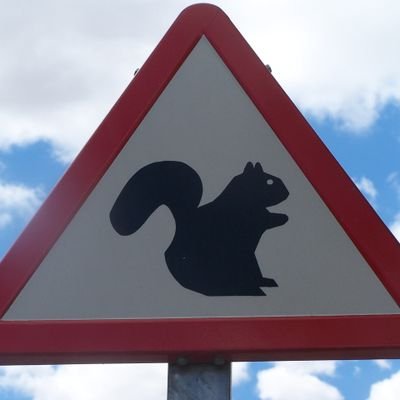 Esquirolet1's profile picture. Por la libertad de expresión, la fraternidad entre pueblos y los DDFF.
RT a lo interesante y curioso.
No insultes, debate