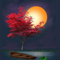 motaz (@moetaztalb) 's Twitter Profile