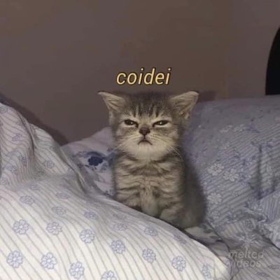 NascimentoValor's profile picture. 