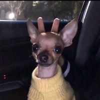 Julia (@julsoncs) 's Twitter Profile
