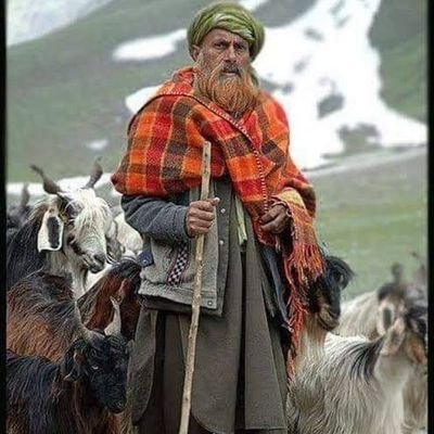 Official Twitter handle of Gurjarbakarwal Tribes residing  in Jammu and Kashmir, India.
Social and Political Activist. legal Scholars.
Views are Personal.