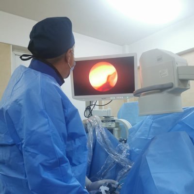 endourology, kidney stones, transperineal prostate biopsy