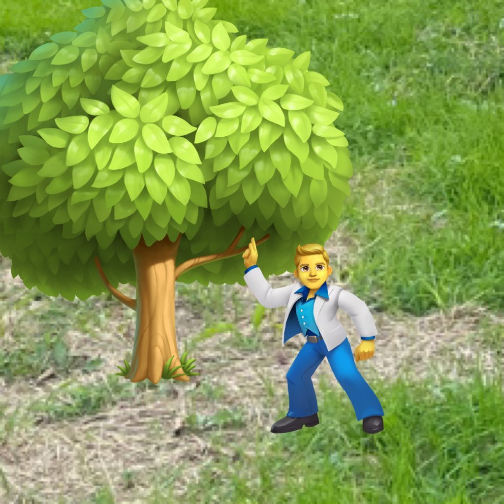 さらは木🌳さんのプロフィール画像