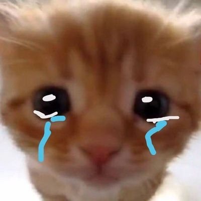 sleepyayaa's profile picture. gotta skrt skrt before get hrt hrt