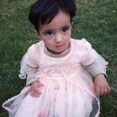 بھٹی Profile