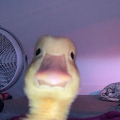 mariavi_027's profile picture. 19 || 💗