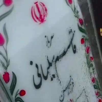 majid229170's profile picture. 