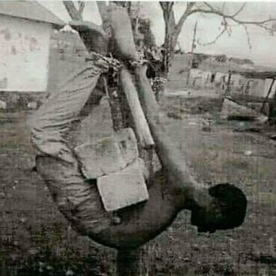 rnjokaa's profile picture. 