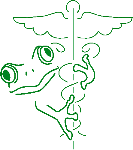 TheRatMouseVet's profile picture. Rat and Mouse Care and Husbandry Advice from an Exotic Pet Veterinarian. Fun Rat & Mouse Facts