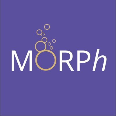 MorphCLtd Profile Picture