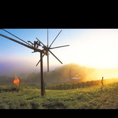 FranzK78723307's profile picture. 