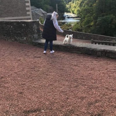 Laurennn56's profile picture. 