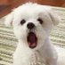 토리 (@asdfgh1658) Twitter profile photo 토리 (@asdfgh1658) Twitter profile photo