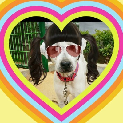 woorikook2's profile picture. 175/70/4n#15