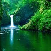 Gilber37449046's profile picture. ETH is everything