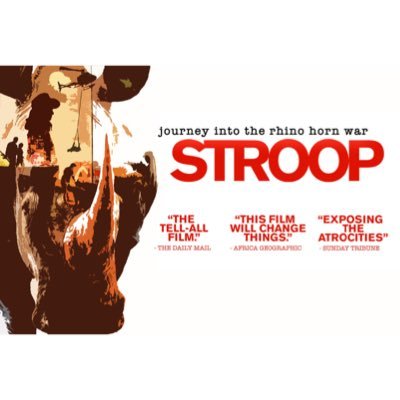 STROOP_film Profile Picture