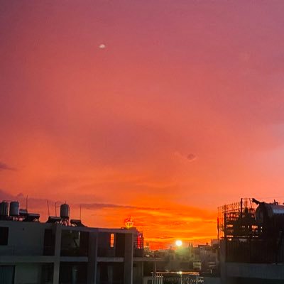 Dungnv16's profile picture. 