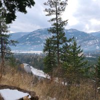 George Rivers (@georgeriversida) 's Twitter Profile