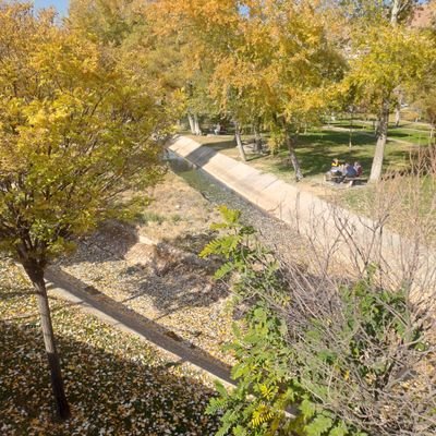 derya981279781's profile picture. 