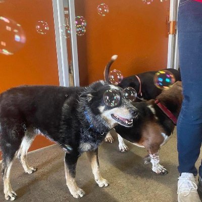 BnBizz's profile picture. 