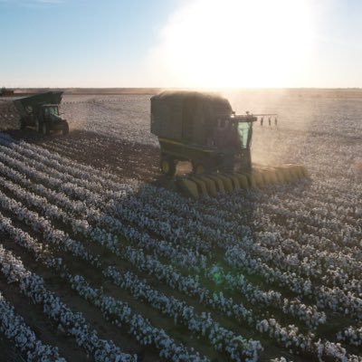 Farming Texas cotton.   Wear cotton and natural fibers. Anti-plastic.  Your promises never fail.