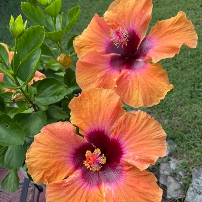 ekentbailey's profile picture. Lover of life, film and music.