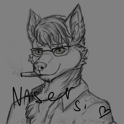 noliferfun's profile picture. 