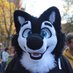 @malamute.social (@TheMalamute) Twitter profile photo