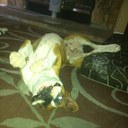 Eric Adkisson - @Eroc011 - Twitter