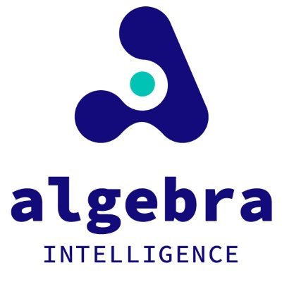 Algebra Intelligence Profile