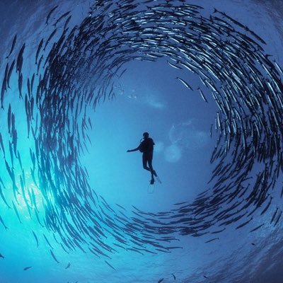 SantiniSnt's profile picture. 