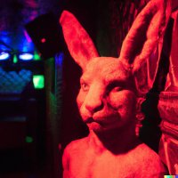 Doucement Lapin(@DoucementLapin) 's Twitter Profile Photo