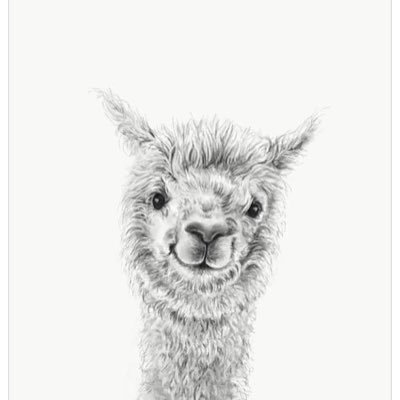 AffableAlpaca Profile Picture