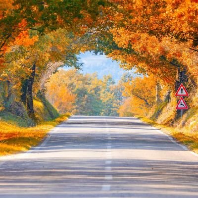 mejikuhibiniu29's profile picture. Syaalalalalala~