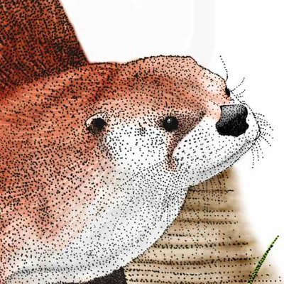 ottvana's profile picture. me likey the penguin game