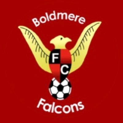 Boldmere Sports & Social Falcons 🦅