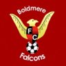 FalconsBoldmere's profile picture. Est 1974 | @MidlandLeague Division 2 | Division 3 Champions 24/25🏆 A in Prem & B in Div 3 @BirminghamFL | UTB 🦅🔴⚫️