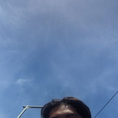 Rangga36268206's profile picture. Professional Person