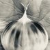 Regeneration Trust (@regen_trust) Twitter profile photo Regeneration Trust (@regen_trust) Twitter profile photo