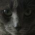 Chet Williamson (@chetwill) Twitter profile photo Chet Williamson (@chetwill) Twitter profile photo