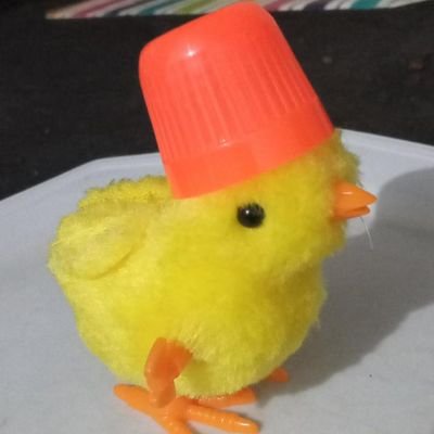 Tapiocaさんのプロフィール画像