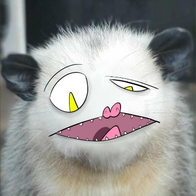 grogrogra's profile picture. 