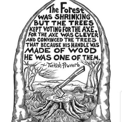 chctdrd's profile picture. 