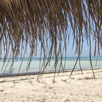 The Spammer Bot (@spamtest23) 's Twitter Profile Photo