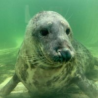 Alicia (@aliciarparfitt) 's Twitter Profile Photo Alicia (@aliciarparfitt) 's Twitter Profile Photo