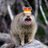 BaddassSquirrel's profile image
