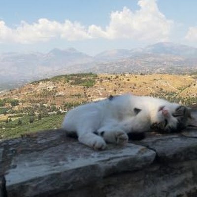 der_swaggerboy's profile picture. 